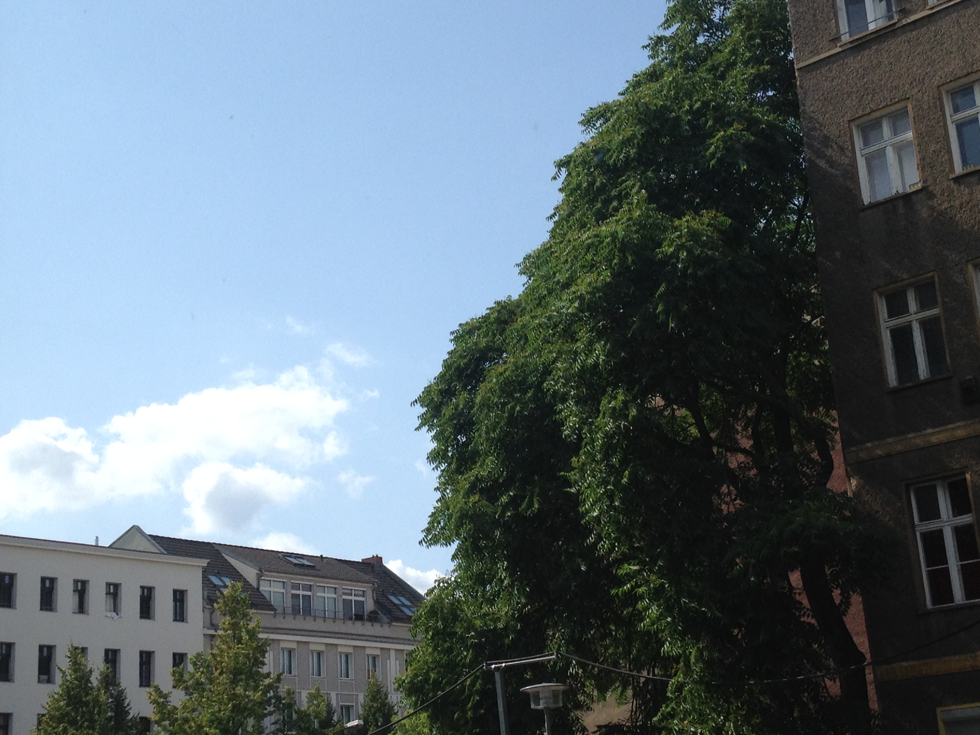 Berlin Weather Summer Has Finally Arrived NuBerlin