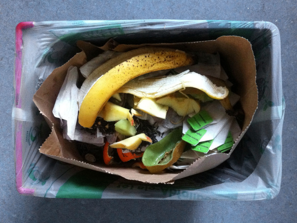 Organic waste - bio trash bin