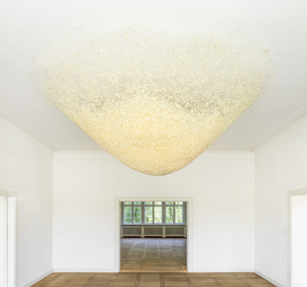 Installation view Christiane Löhr – Organising the Wild, Haus am Waldsee, 2021