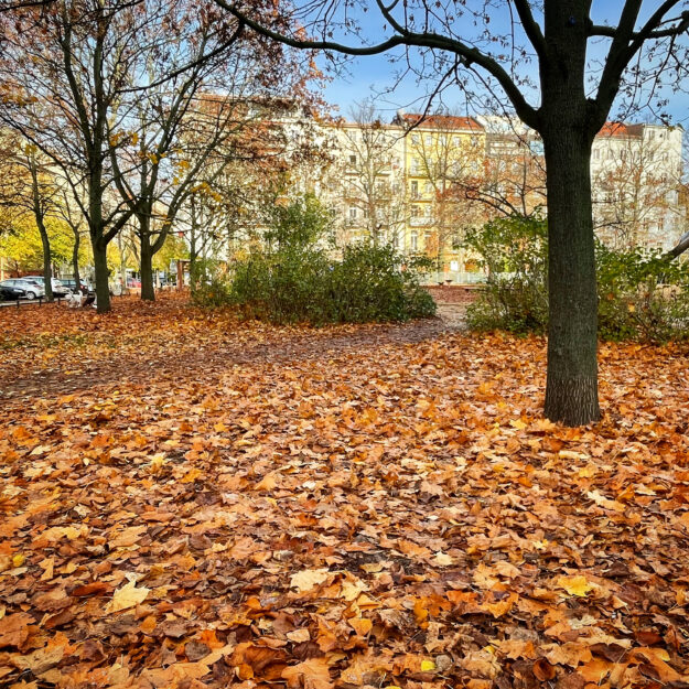 Autumn at Arkonaplatz, Berlin Mitte